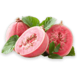 guava